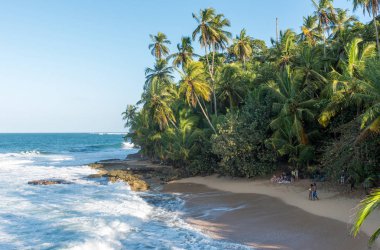 Vahşi Karayipler beach, Manzanillo, Puerto Viejo, Kosta Rika