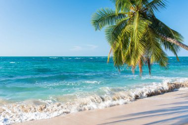 Kosta Rika Punta Uva Beach'te vahşi Karayip kıyılarında ile.