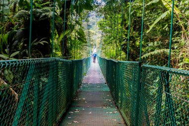 Cloudforest, Monteverde, Kosta Rika Bridge'de asılı.