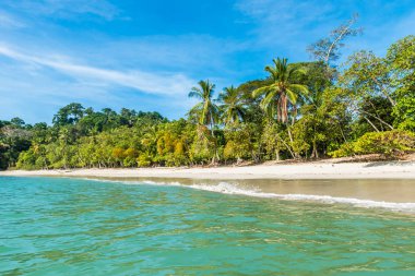 Tropikal plaj içinde Manuel Antonio Milli Parkı, Costa Rica.