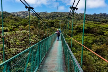 Cloudforest - Kosta Rika Bridge'de asılı