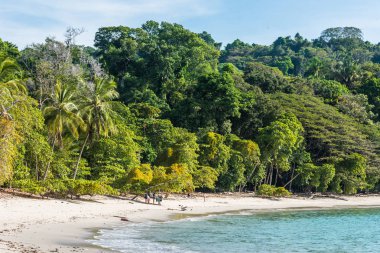 Tropikal plaj içinde Manuel Antonio Milli Parkı, Costa Rica.