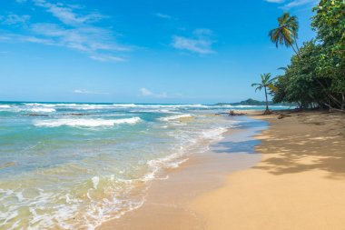 Playa Chiquita - vahşi beach yakın Puerto Viejo, Kosta Rika.