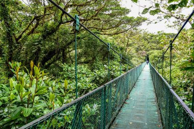 Cloudforest, Monteverde, Kosta Rika Bridge'de asılı.
