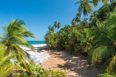 Vahşi Karayipler beach, Manzanillo, Puerto Viejo, Kosta Rika