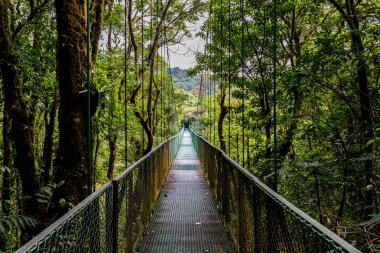 Cloudforest - Kosta Rika Bridge'de asılı