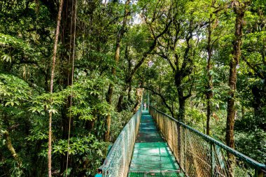 Cloudforest - Kosta Rika Bridge'de asılı