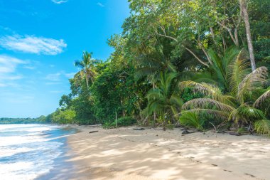 Cahuita - paradise plajları ve Kosta Rika yağmur ormanları ile milli park.