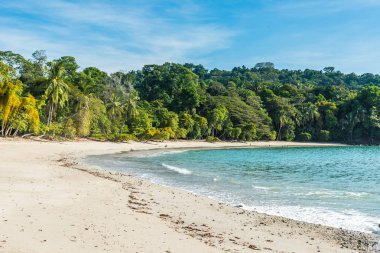 Tropikal plaj içinde Manuel Antonio Milli Parkı, Costa Rica.