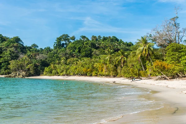 Tropisk Strand Manuel Antonio National Park Costa Rica — Stockfoto