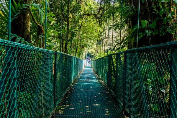 Puente Colgante Cloudforest Monteverde Costa Rica — Foto de Stock