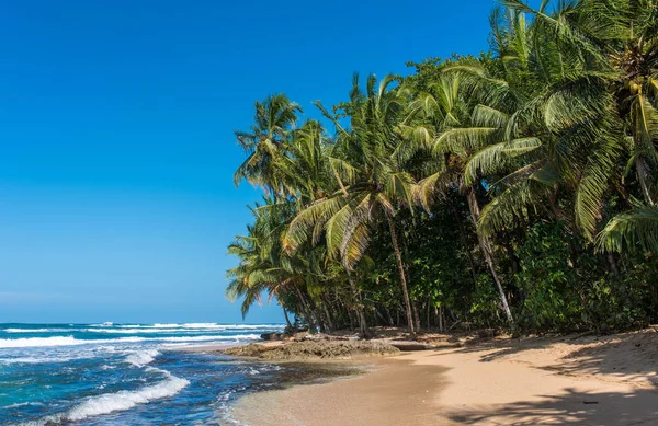 Ráj Divokých Pláž Manzanillo Parku Kostarice — Stock fotografie
