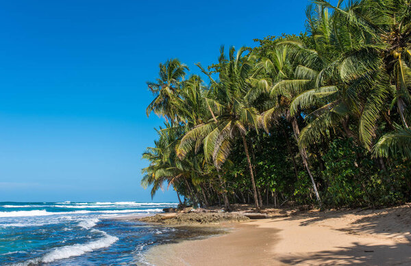 Paradise wild beach of Manzanillo Park in Costa Rica