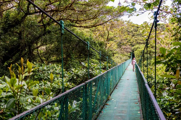 Mujer Joven Puente Colgante Bosque Nublado Monteverde Costa Rica — Foto de Stock