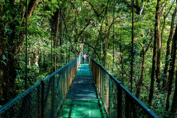 Jovem Ponte Suspensa Floresta Nublada Monteverde Costa Rica — Fotografia de Stock