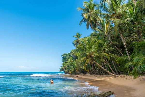 Dzikiej Plaży Paradise Park Manzanillo Kostaryce — Zdjęcie stockowe