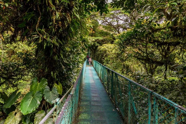 Visutý Most Cloudforest Kostarika — Stock fotografie