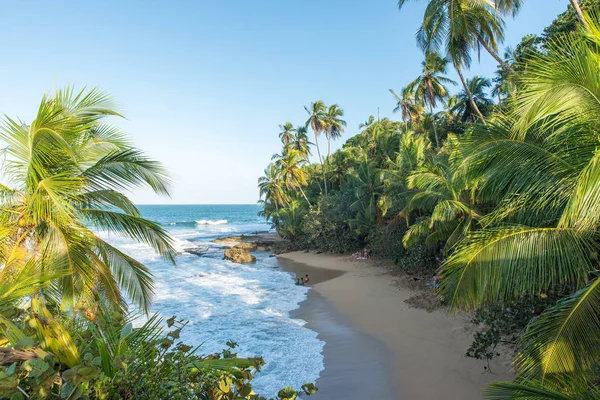 Dzikie Karaiby Plaża Manzanillo Puerto Viejo Costa Rica — Zdjęcie stockowe