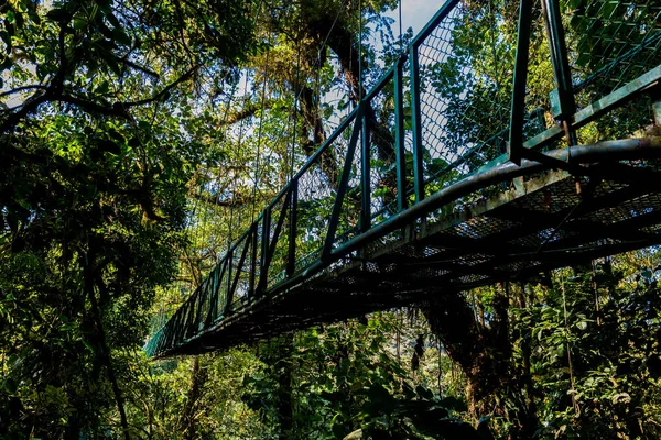 Wiszący Most Cloudforest Monteverde Costa Rica — Zdjęcie stockowe