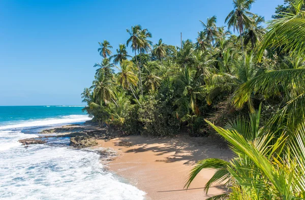 Wild Karibským Pláž Manzanillo Puerto Viejo Kostarika — Stock fotografie