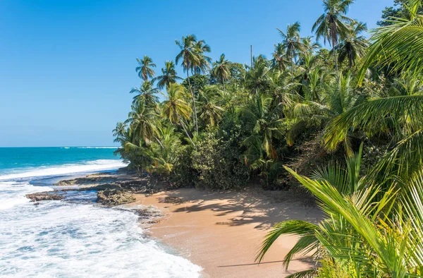 Playa Caribeña Salvaje Manzanillo Puerto Viejo Costa Rica —  Fotos de Stock