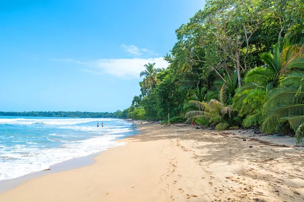 Cahuita Parque Nacional Con Playas Paradisíacas Selva Tropical Costa Rica —  Fotos de Stock