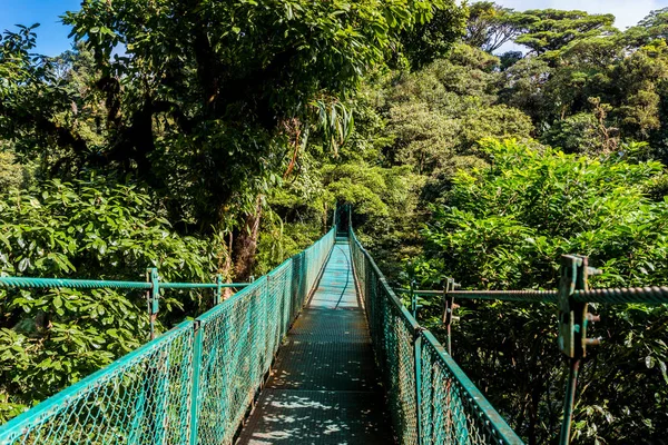 Puente Colgante Cloudforest Monteverde Costa Rica — Foto de Stock