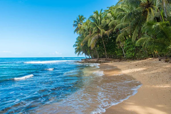 Dzikiej Plaży Paradise Park Manzanillo Kostaryce — Zdjęcie stockowe