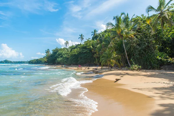 Playa Chiquita Dzikiej Plaży Niedaleko Puerto Viejo Costa Rica — Zdjęcie stockowe