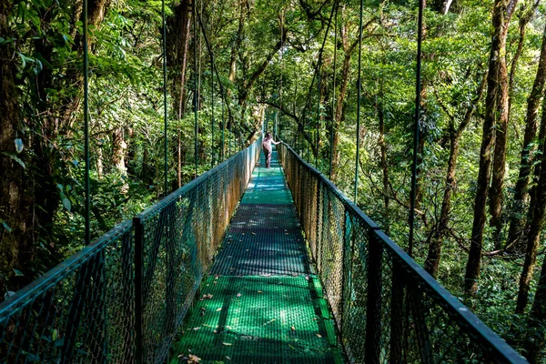 Jovem Ponte Suspensa Floresta Nublada Monteverde Costa Rica — Fotografia de Stock