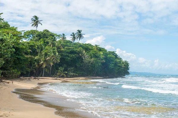 Playa Chiquita - vahşi beach yakın Puerto Viejo, Kosta Rika.