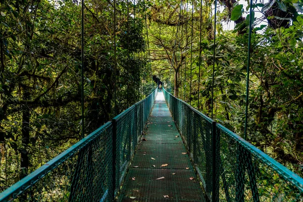 Wiszący Most Cloudforest Kostaryka — Zdjęcie stockowe