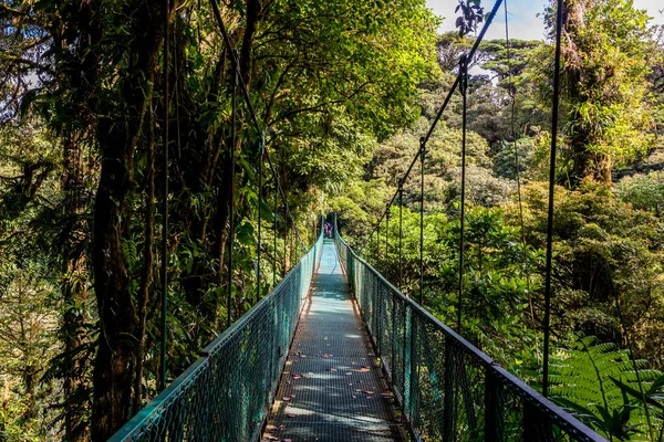 Puente Colgante Bosque Nuboso Costa Rica — Foto de Stock