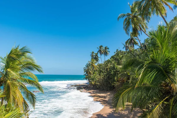 Dzikie Karaiby Plaża Manzanillo Puerto Viejo Costa Rica — Zdjęcie stockowe