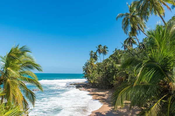 Wild Karibským Pláž Manzanillo Puerto Viejo Kostarika — Stock fotografie