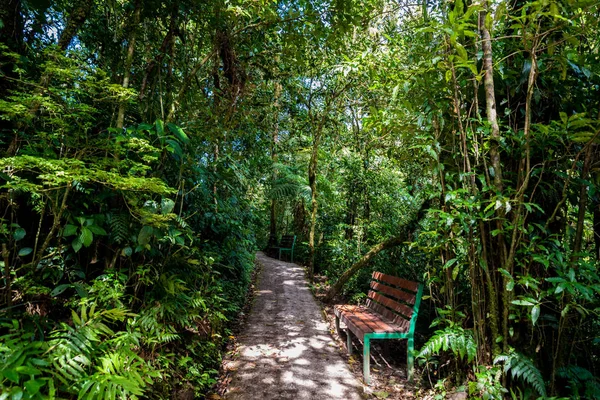 Pohled Cloudforest Monteverde Kostarika — Stock fotografie