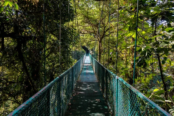 Puente Colgante Bosque Nuboso Costa Rica — Foto de Stock