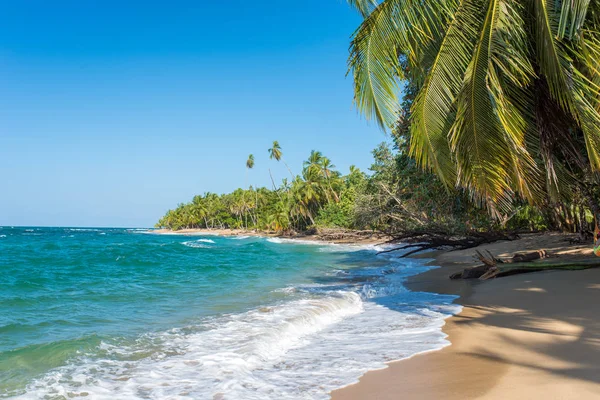 Παραλία Πούντα Uva Στην Κόστα Ρίκα Άγρια Ακτή Της Καραϊβικής — Φωτογραφία Αρχείου