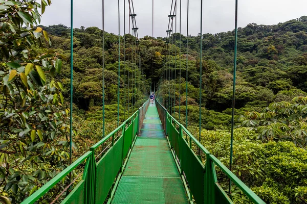 Cloudforest Monteverde Kosta Rika Bridge Asılı — Stok fotoğraf