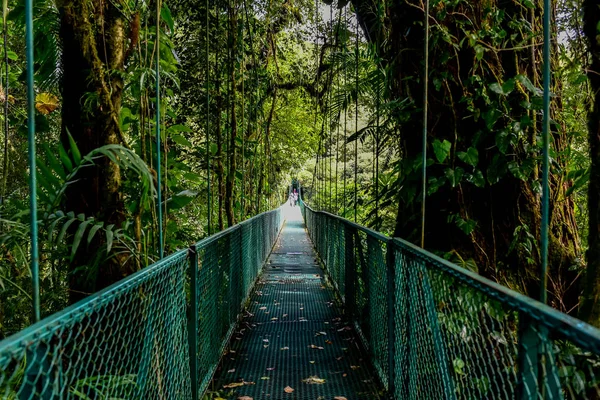 Visutý Most Cloudforest Monteverde Kostarika — Stock fotografie
