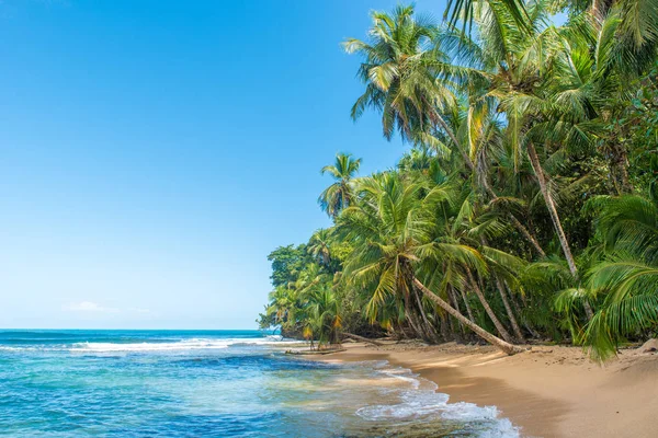 Dzikiej Plaży Paradise Park Manzanillo Kostaryce — Zdjęcie stockowe