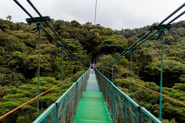 Ponte Sospeso Cloudforest Monteverde Costa Rica — Foto Stock