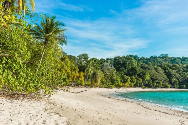 Tropikal Plaj Içinde Manuel Antonio Milli Parkı Costa Rica — Stok fotoğraf