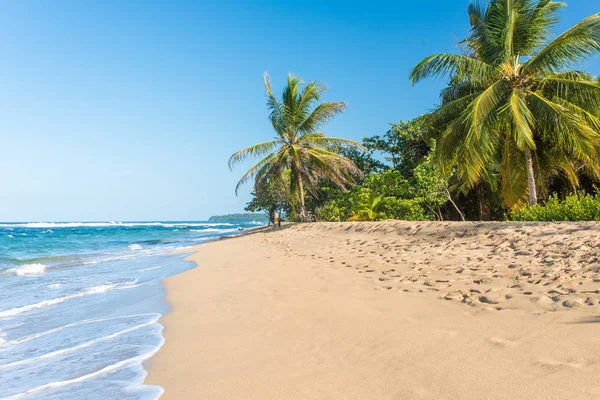 Plaży Punta Uva Costa Rica Dzikie Wybrzeże Karaibów — Zdjęcie stockowe