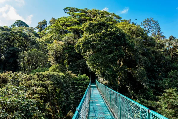 Ponte Pendurada Cloudforest Costa Rica — Fotografia de Stock