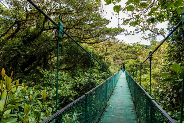 Hängebrücke Nebelwald Costa Rica — Stockfoto