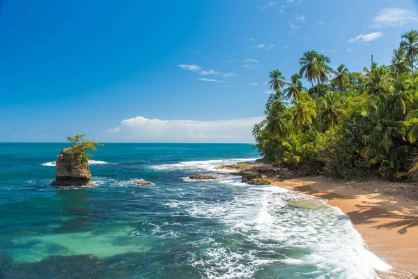 Wild Caribbean Beach Manzanillo Puerto Viejo Costa Rica — Stock Photo, Image