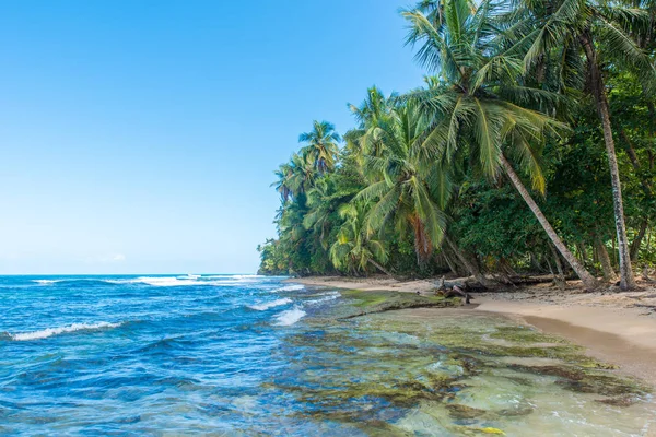 Paradise Wild Beach Manzanillo Park Costa Rica — Stock Photo, Image