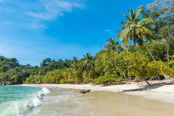 Tropikalnej Plaży Manuel Antonio National Park Costa Rica — Zdjęcie stockowe