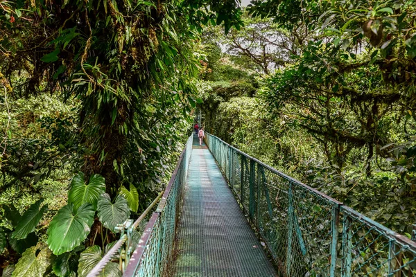Visutý Most Cloudforest Monteverde Kostarika — Stock fotografie